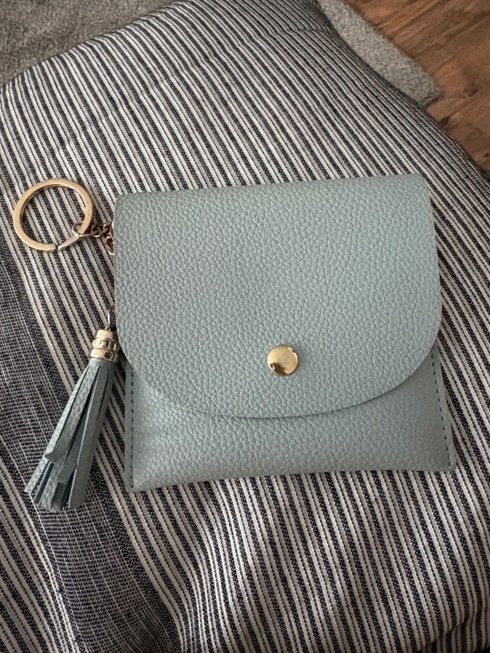 Pastel Blue Miniso Card Holder